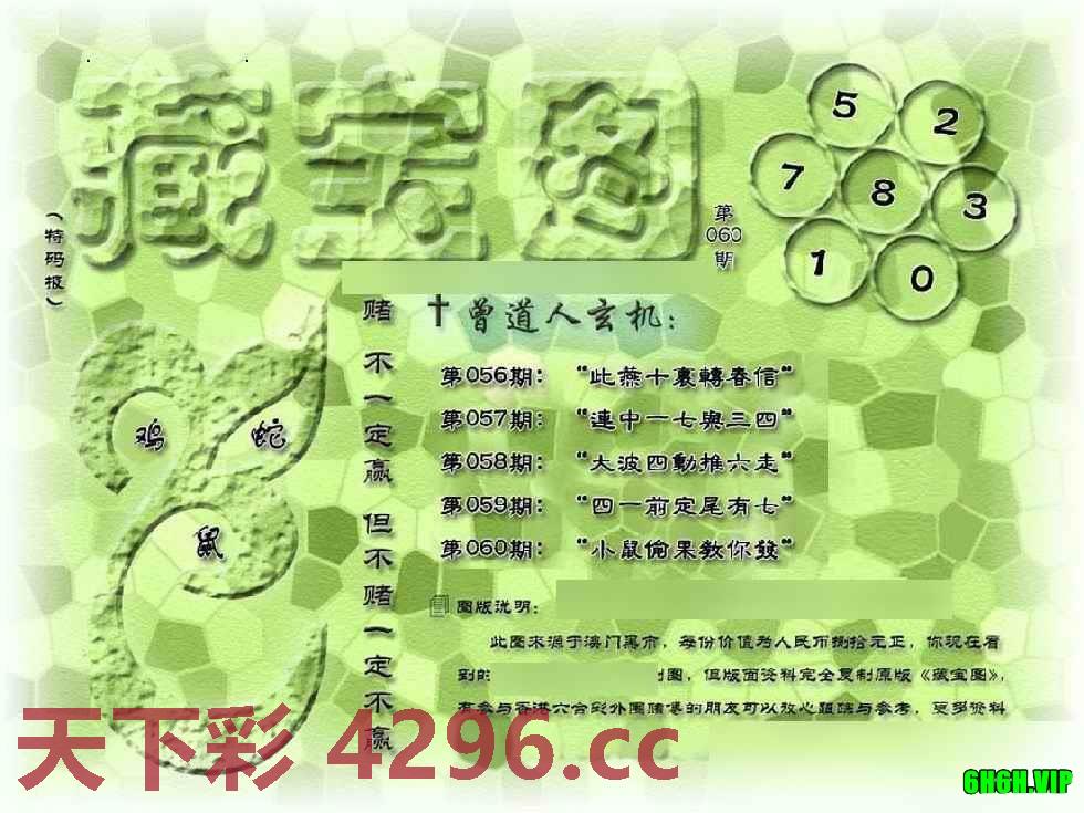 假新藏宝图